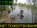 11:55:48