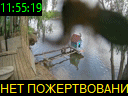 11:55:19