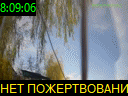 08:09:06
