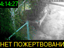 04:14:27