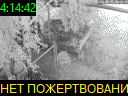 04:14:42
