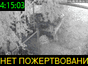 04:15:03