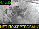 04:16:35