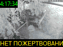 04:17:34