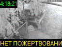 04:18:21