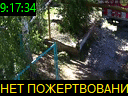 09:17:34