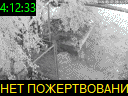 04:12:33