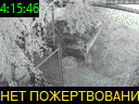 04:15:46