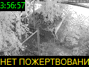 03:56:57