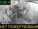 03:58:10