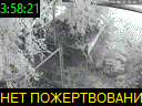 03:58:21