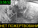 03:58:52