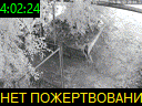 04:02:24